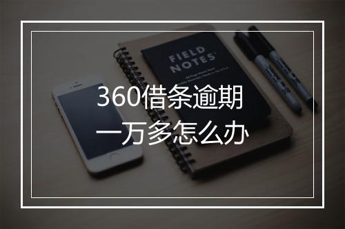360借条逾期一万多怎么办