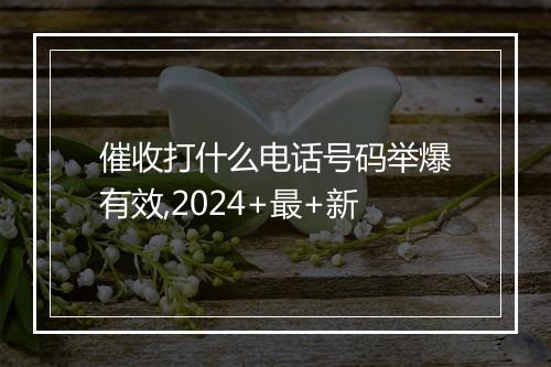 催收打什么电话号码举爆有效,2024+最+新