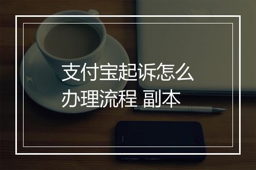 支付宝起诉怎么办理流程 副本