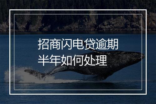 招商闪电贷逾期半年如何处理