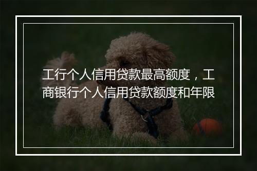 工行个人信用贷款最高额度，工商银行个人信用贷款额度和年限