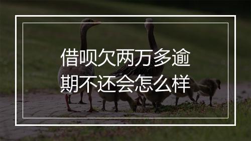 借呗欠两万多逾期不还会怎么样