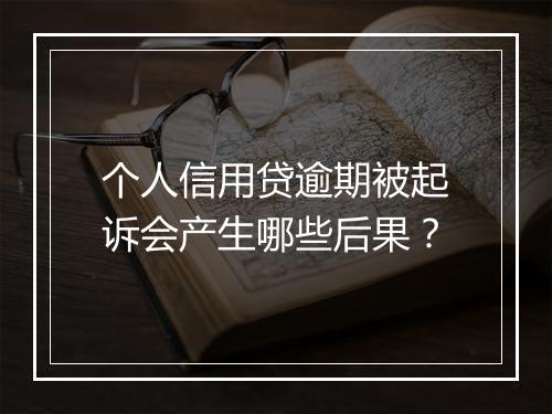 个人信用贷逾期被起诉会产生哪些后果？