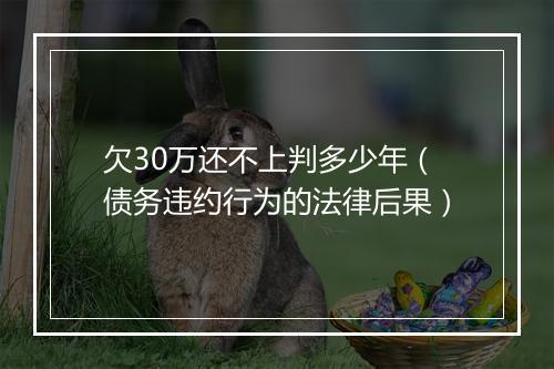欠30万还不上判多少年（债务违约行为的法律后果）