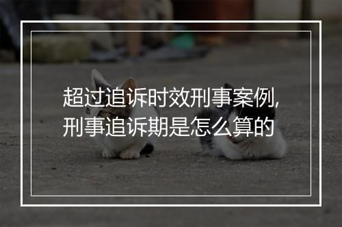超过追诉时效刑事案例,刑事追诉期是怎么算的