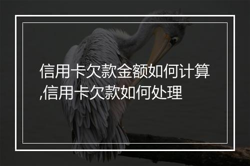 信用卡欠款金额如何计算,信用卡欠款如何处理