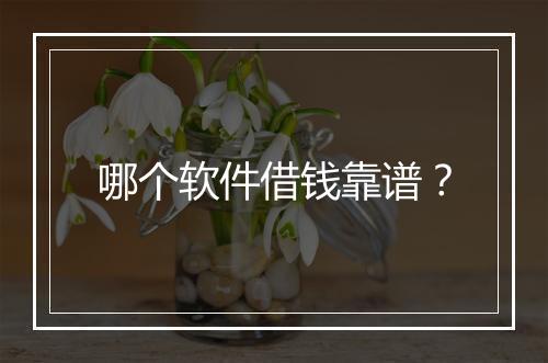 哪个软件借钱靠谱？