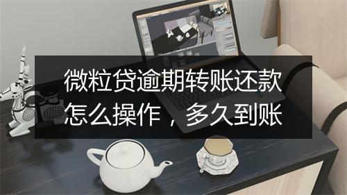 微粒贷逾期转账还款怎么操作，多久到账