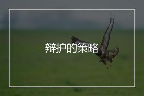 辩护的策略
