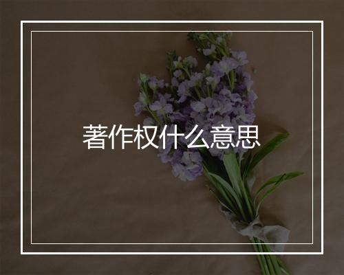著作权什么意思