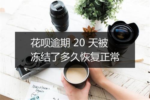 花呗逾期 20 天被冻结了多久恢复正常