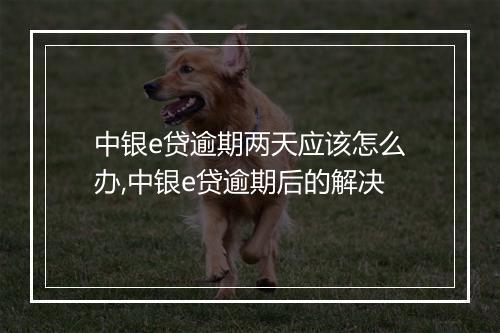 中银e贷逾期两天应该怎么办,中银e贷逾期后的解决