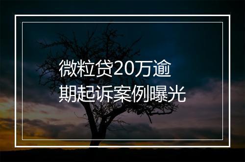 微粒贷20万逾期起诉案例曝光