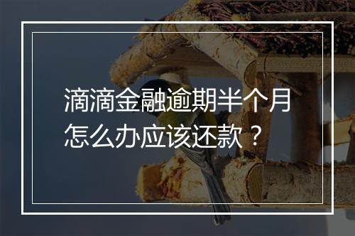 滴滴金融逾期半个月怎么办应该还款？
