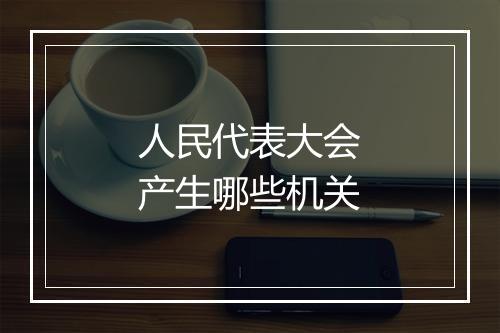 人民代表大会产生哪些机关