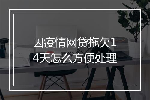 因疫情网贷拖欠14天怎么方便处理