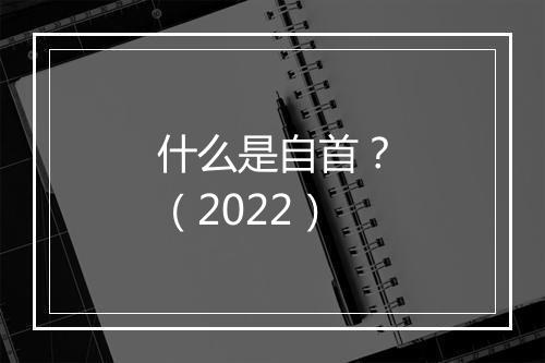 什么是自首？（2022）
