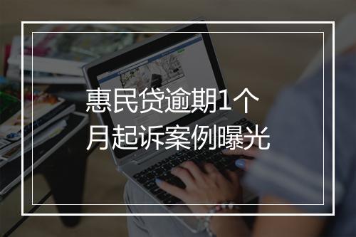 惠民贷逾期1个月起诉案例曝光