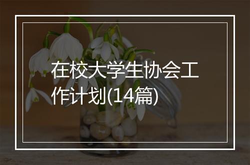 在校大学生协会工作计划(14篇)