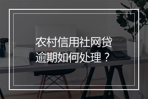 农村信用社网贷逾期如何处理？