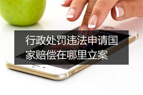 行政处罚违法申请国家赔偿在哪里立案