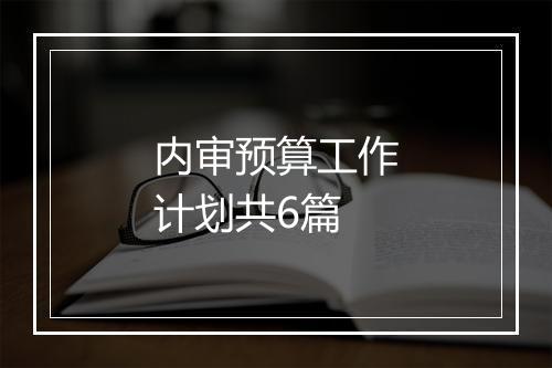 内审预算工作计划共6篇