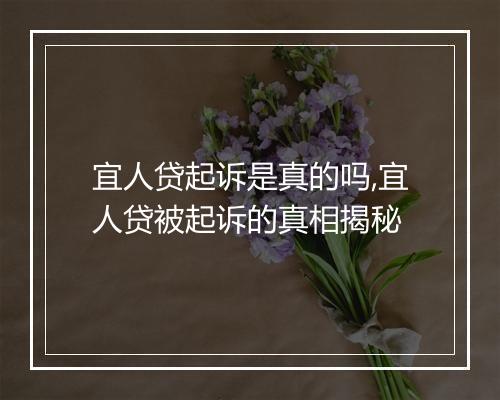 宜人贷起诉是真的吗,宜人贷被起诉的真相揭秘