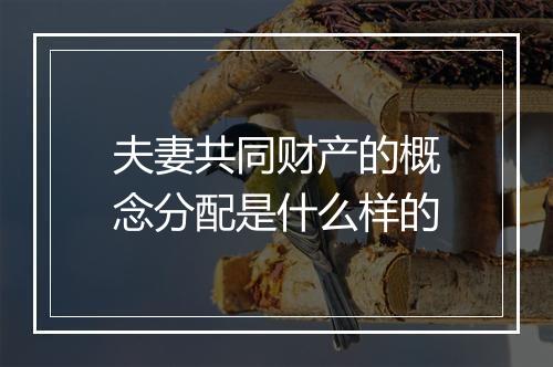 夫妻共同财产的概念分配是什么样的