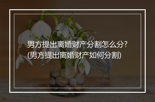 男方提出离婚财产分割怎么分?(男方提出离婚财产如何分割)