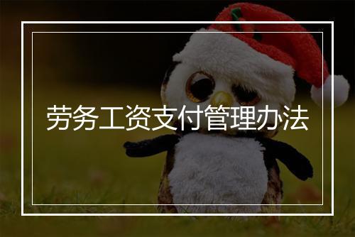 劳务工资支付管理办法