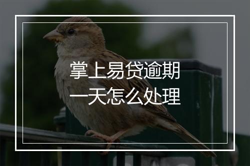掌上易贷逾期一天怎么处理