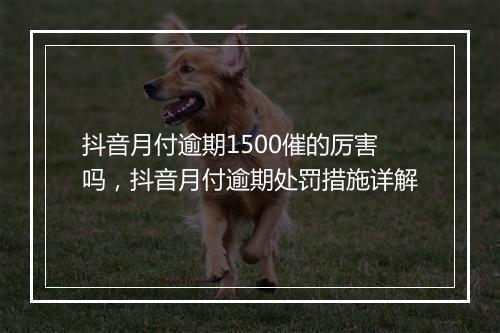 抖音月付逾期1500催的厉害吗，抖音月付逾期处罚措施详解