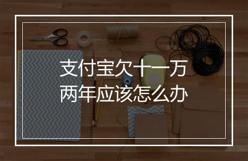 支付宝欠十一万两年应该怎么办
