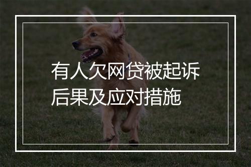 有人欠网贷被起诉后果及应对措施