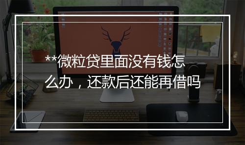 **微粒贷里面没有钱怎么办，还款后还能再借吗