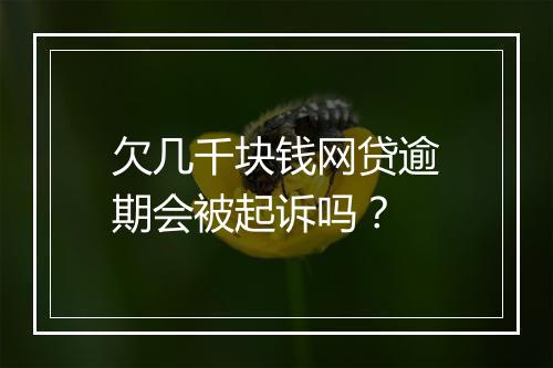 欠几千块钱网贷逾期会被起诉吗？