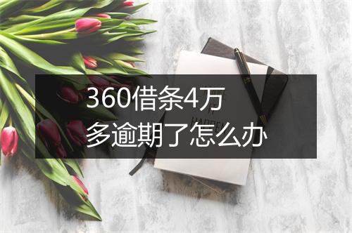 360借条4万多逾期了怎么办