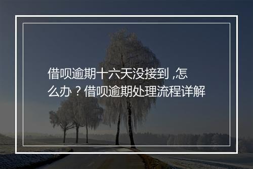 借呗逾期十六天没接到 ,怎么办？借呗逾期处理流程详解