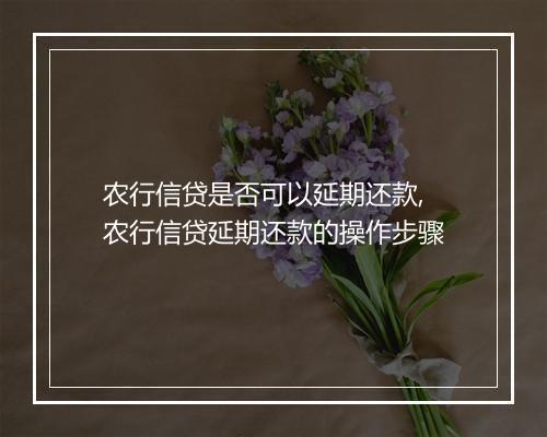 农行信贷是否可以延期还款,农行信贷延期还款的操作步骤