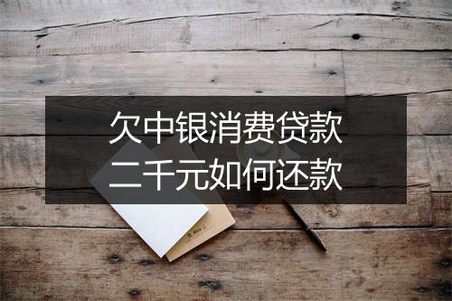 欠中银消费贷款二千元如何还款