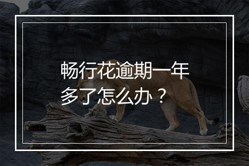畅行花逾期一年多了怎么办？