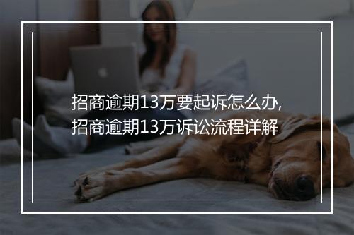 招商逾期13万要起诉怎么办,招商逾期13万诉讼流程详解