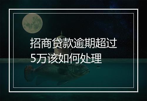 招商贷款逾期超过5万该如何处理