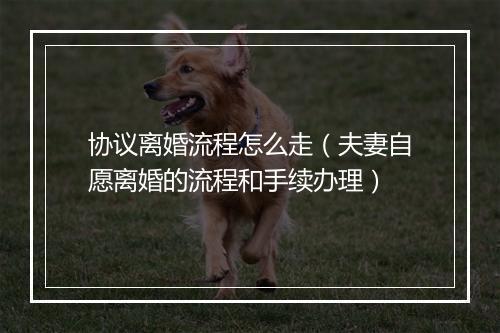 协议离婚流程怎么走（夫妻自愿离婚的流程和手续办理）