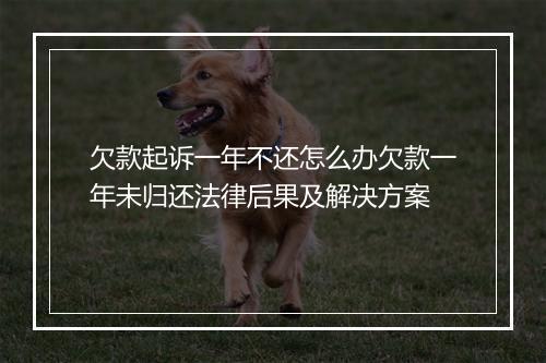 欠款起诉一年不还怎么办欠款一年未归还法律后果及解决方案