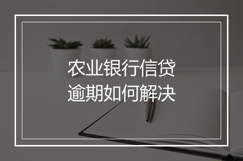 农业银行信贷逾期如何解决