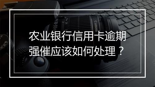 农业银行信用卡逾期强催应该如何处理？
