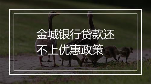 金城银行贷款还不上优惠政策