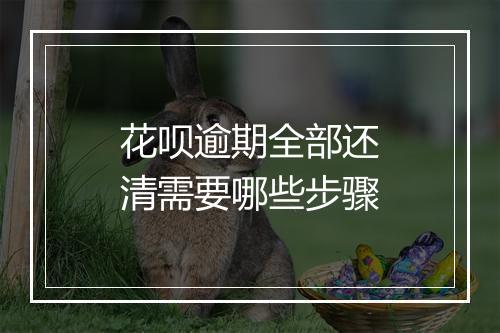 花呗逾期全部还清需要哪些步骤
