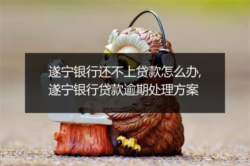 遂宁银行还不上贷款怎么办,遂宁银行贷款逾期处理方案